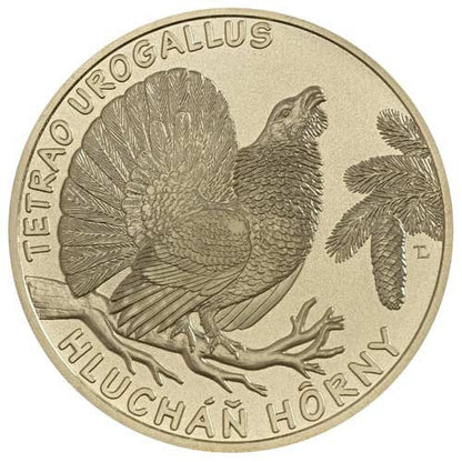 2024 Minca 5€ - Hlucháň hôrny